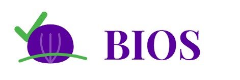 BIOS_Logo_Tradicional_v-header-wp